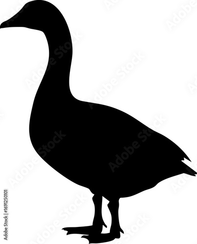 Elegant goose silhouette standing gracefully, a symbol of nature's simple beauty and serene wildlife moments.