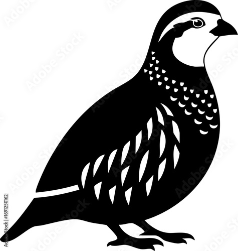 Elegant quail silhouette captures natural beauty and outdoor adventure for diverse projects