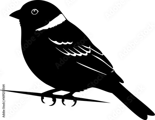 Elegant silhouette of a small bird perched serenely on a delicate branch, evoking nature's tranquility and beauty.