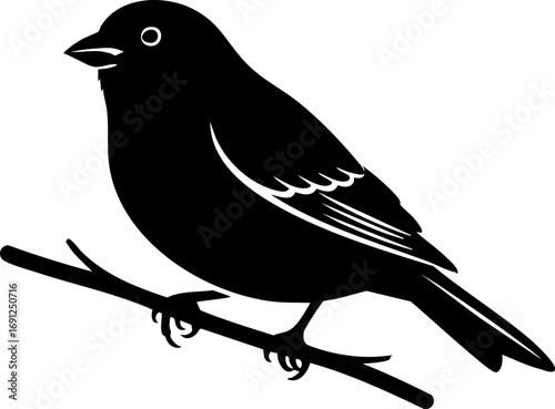 Charming silhouette of a small bird perched serenely on a delicate branch, evoking nature's simple beauty.