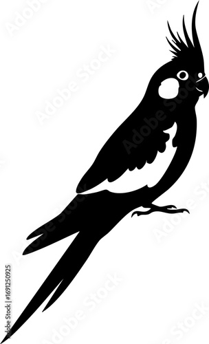 Elegant cockatiel silhouette perched gracefully, a charming avian icon for your designs.