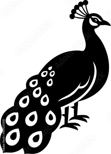 Elegant peacock silhouette showcasing vibrant tail feathers, symbolizing beauty and grace in design