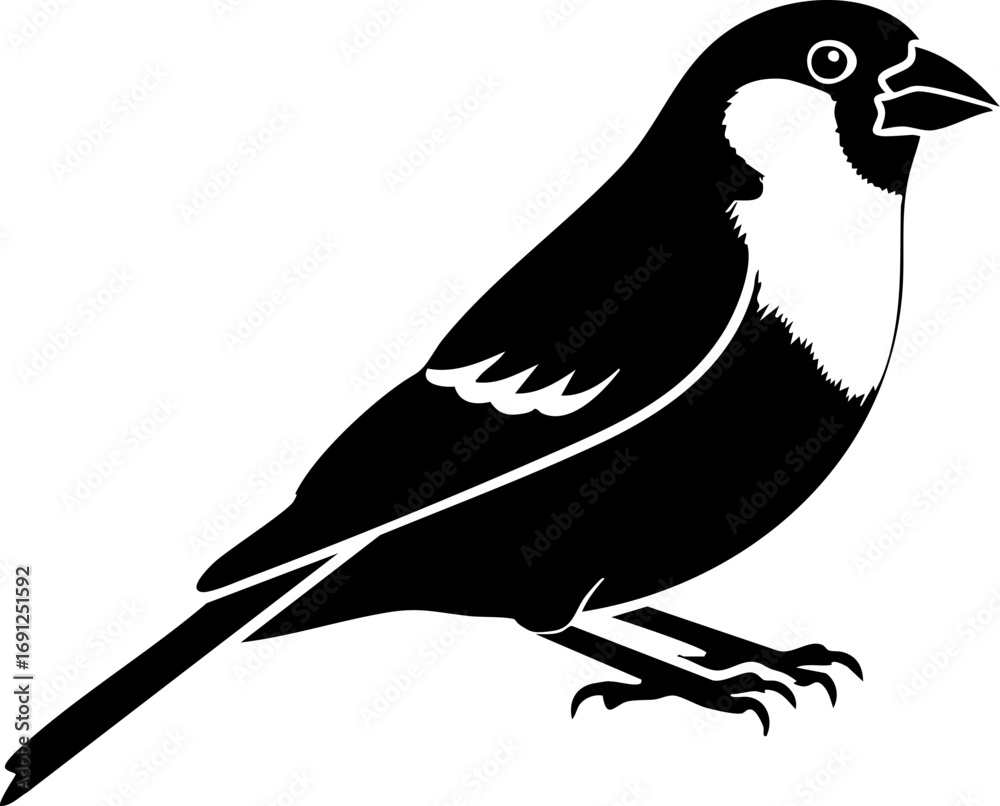 Obraz premium Charming black and white sparrow silhouette poised and ready for flight, bringing nature's simplicity.