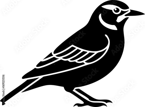 Elegant black silhouette of a small bird perched gracefully, symbolizing nature and freedom.