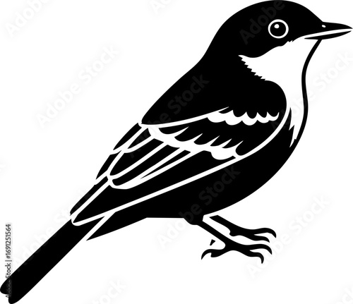 Elegant black and white bird silhouette poised for flight, symbolizing freedom and nature's grace