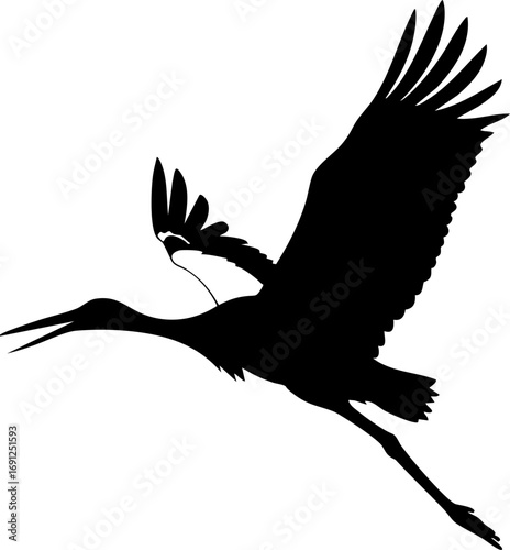 Majestic stork soars gracefully through the sky, wings spread wide in powerful flight motion
