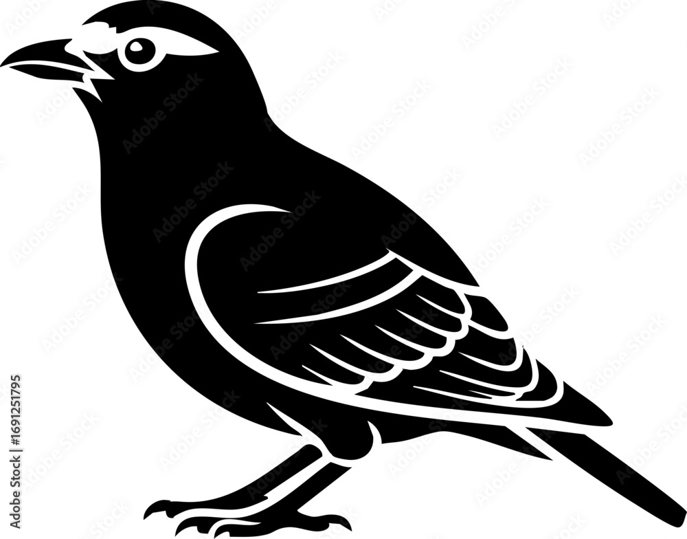 Obraz premium Charming black bird silhouette perched elegantly with intricate feather detail, perfect for nature designs