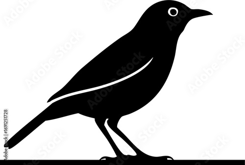 Elegant black silhouette of a small bird perched gracefully, evoking nature's simplicity and charm.