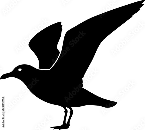 Graceful seagull silhouette takes flight against open sky, embodying freedom and nature's beauty.