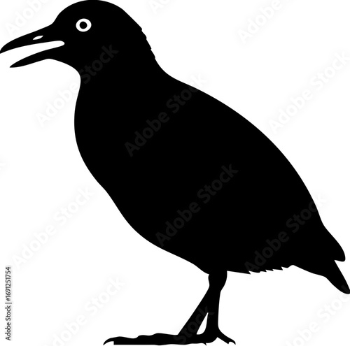 Alert black bird silhouette vocalizing outdoors with open beak and watchful eye