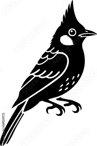 Elegant black cardinal silhouette perched gracefully, symbolizing nature's beauty and freedom for design.