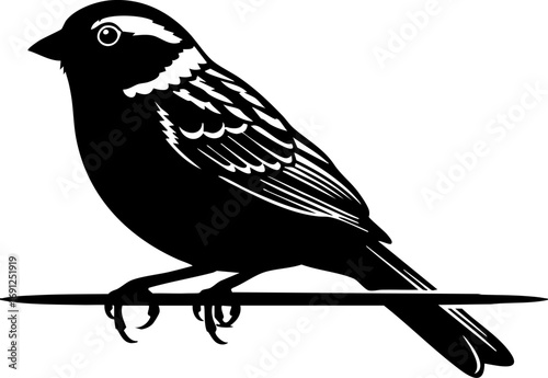 Elegant silhouette of a songbird perched serenely on a delicate branch, capturing natural beauty