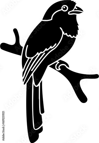 Elegant black bird silhouette perched on a branch, a simple, modern design for nature lovers.