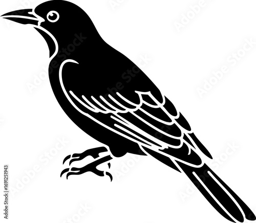 Elegant black bird silhouette perched alertly, symbolizing freedom and nature's grace in a clean design