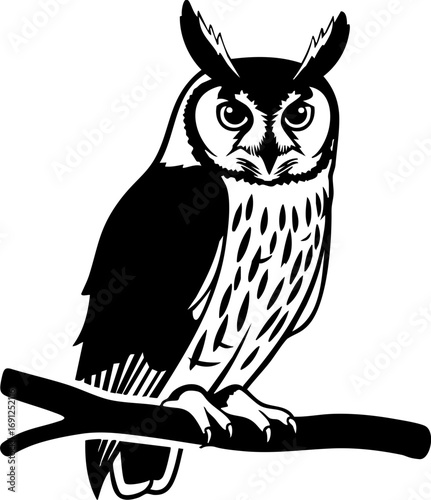 Wise owl perched on branch, symbolizing knowledge, wisdom, and nature's nocturnal beauty.