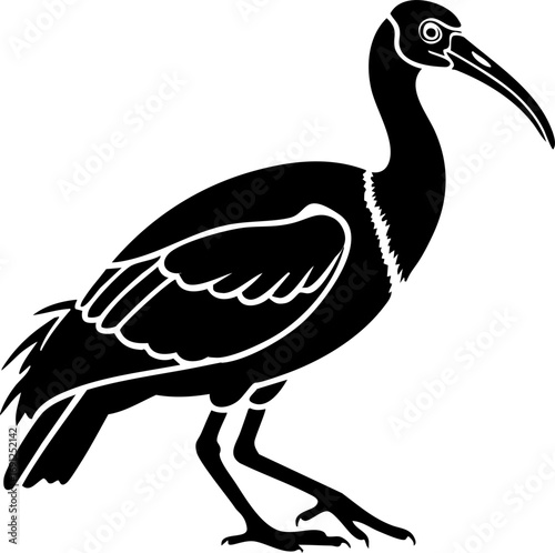 Elegant ibis bird silhouette captures natural grace and unique wildlife beauty for your designs