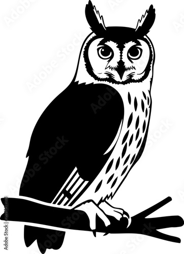 Wise owl perched on branch, a symbol of knowledge and mystery, perfect for educational or mystical themes.