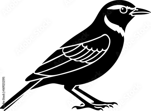 Elegant black silhouette of a meadowlark bird with detailed feathering and sharp beak