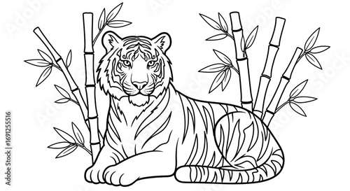 Illustration of a tiger lying down with bamboo stalks in the background.