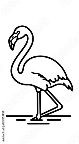 Line drawing of a flamingo standing in water simple black and white illustration.