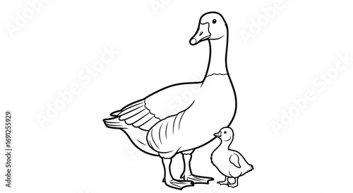 Line art illustration of a goose with a gosling underneath its wing.