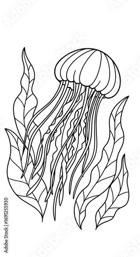 Jellyfish illustration with seaweed in black and white line art style.