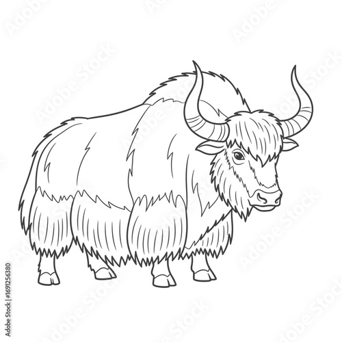 Line drawing of a yak with large horns and shaggy fur.