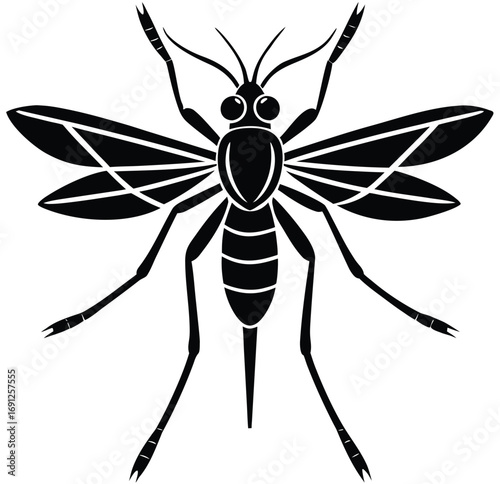 Black and white butterfly bee and beetle vector illustration