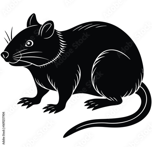 A charming vector illustration of a cute black and white cartoon kitten with a tail, sitting like a domestic pet