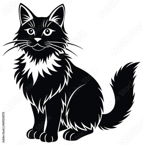 A vector illustration of an adorable black and white domestic kitten looking with curious eyes