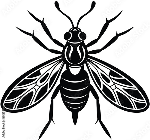 Wasp bee and fly vector illustration on white background