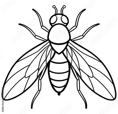 Bee vector illustration on white background isolated with wings and details