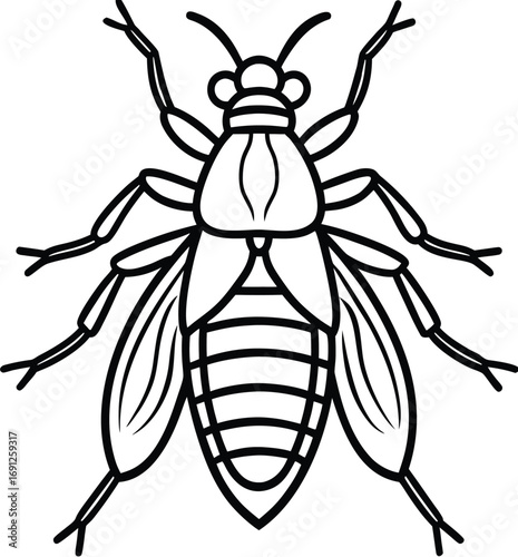 Macro close-up vector illustration of a fly insect on white background