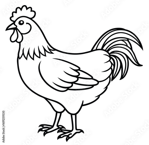 Hen and rooster with chick vector illustration on white background