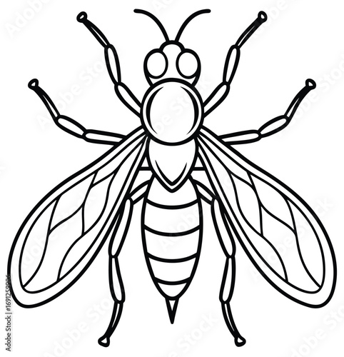 Vector illustration of a wasp bee and fly on white background