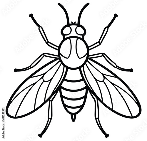 Vector illustration of a fly bee and wasp isolated on white background