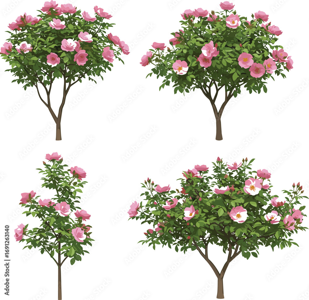 Fototapeta premium Pink flowering trees illustration, spring blossom landscape, botanical garden art, blooming shrubs, seasonal nature design, floral foliage, decorative plant scene