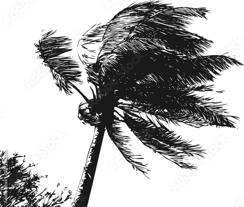 Windy vector sketch hand drawn line art in nature, palm tree silhouette in strong wind — stock vector
