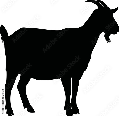 Goat vector hand drawn line art in nature, goat silhouette in black isolated — stock vector