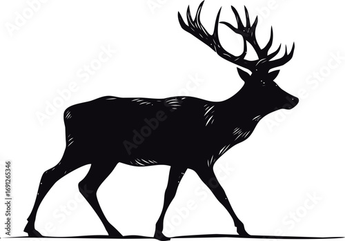 Deer vector hand drawn in nature, deer silhouette in engraving style — stock vector