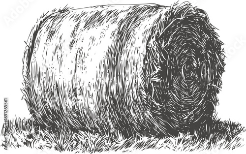 Rustic vector sketch hand drawn line art in nature, hay bale in rustic engraving style — stock vector