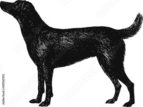 Dog vector hand drawn in silhouette, vintage dog silhouette engraving style illustration — stock vector