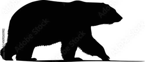 Walking vector hand drawn line art in nature, walking bear silhouette in black — stock vector