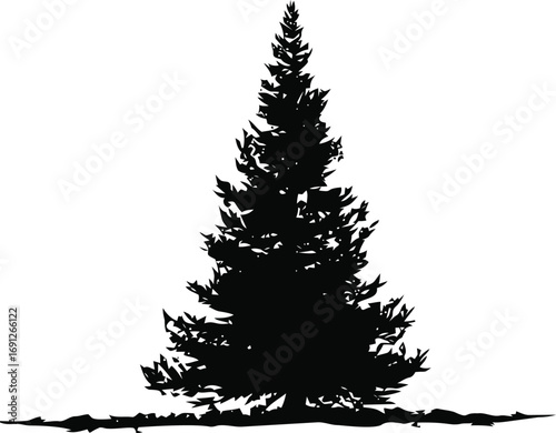 Pine vector hand drawn in nature, pine tree silhouette in black — stock vector