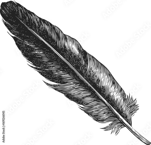 Hand vector sketch hand drawn line art in isolated, black feather engraving vintage on white — stock vector