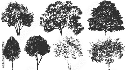 Tree vector sketch hand drawn line art in nature, tree silhouettes set in style — stock vector