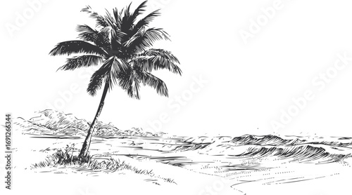 Coastline vector sketch hand drawn line art in nature, palm tree on tropical beach style — stock vector