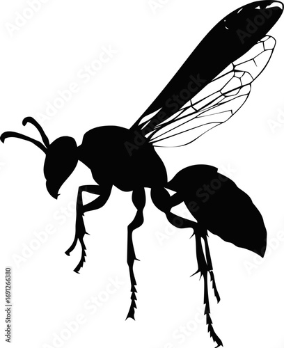 Wasp vector hand drawn line art in nature, wasp silhouette minimalist with detailed wings — stock vector