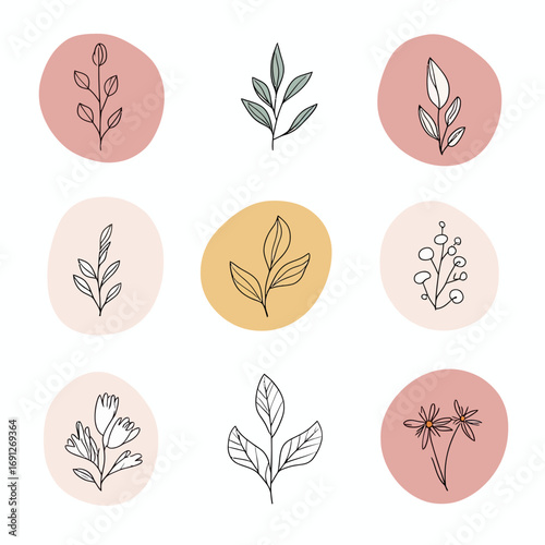 Minimalist hand drawn botanical line art icons set with floral leaves branches flower sketches on pastel color backgrounds for logo design or social media highlights collection vector illustration