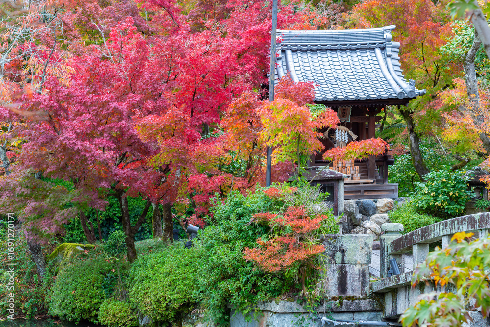 Obraz premium Eikando temple gardens in autumn, Kyoto, Japan